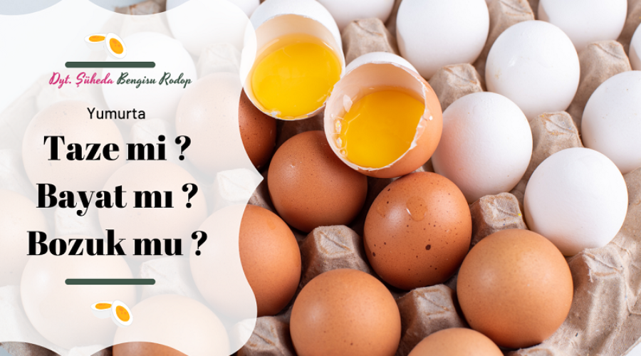 Yumurta Taze mi Bayat mı Bozuk mu?