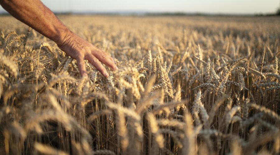 TARSİM Devlet Destekli Tarım Sigortaları Acente Eğitimleri 2022