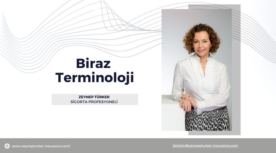 Biraz Terminoloji- Zeynep Türker
