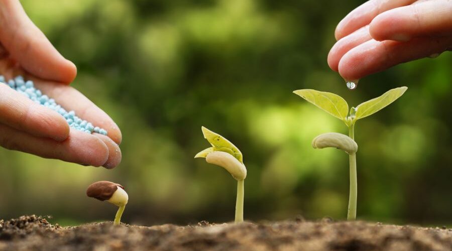 Mart 2023 Devlet Destekli Tarım Sigortaları Branşı Prim Üretimleri