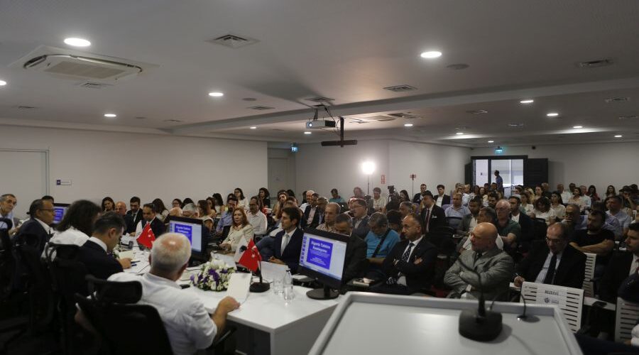 Hatalı Engelli Raporları Trafik Sigorta Primini Arttırıyor