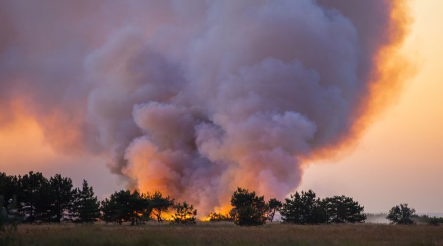 Yangın ve Doğal Afetler Branşında Acenteler Önde ama Bankalar Yakın Takipte