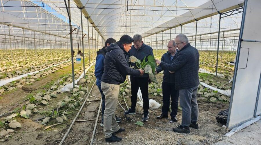 TARSİM Heyeti’nden Antalya’daki Sera Üreticilerine Geçmiş Olsun Ziyareti