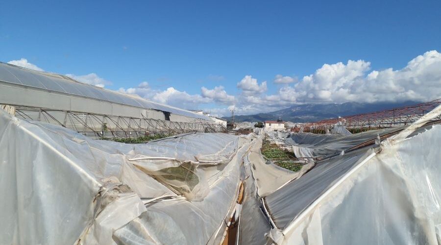 TARSİM Hortumdan Zarar Gören Antalya’lı Sera Üreticilerine 39 Milyon TL Ödedi