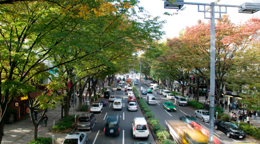 Şubat 2024 Trafik İstatistik Bülteni