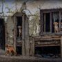 Beş Can – Gülçimen Okumuş