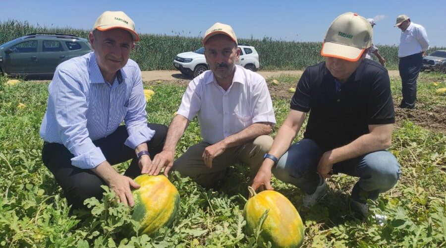 TARSİM Heyeti Adana’da Saha Ziyaretleri Gerçekleştirdi