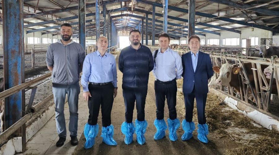 TARSİM’den Erzurum’daki Sigortalı Büyükbaş Hayvan İşletmesine Ziyaret
