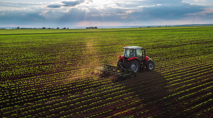 AXA Türkiye ve The Smart Farmers Dikey Tarımda Değerler Ortaklığına İmza Attı
