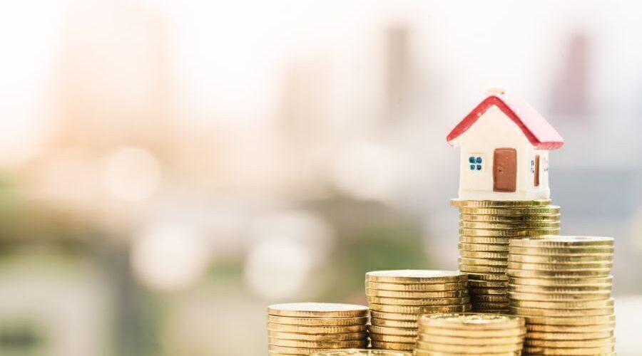 Doğal Afet Sigortaları Kurumu (DASK) Kasım 2024