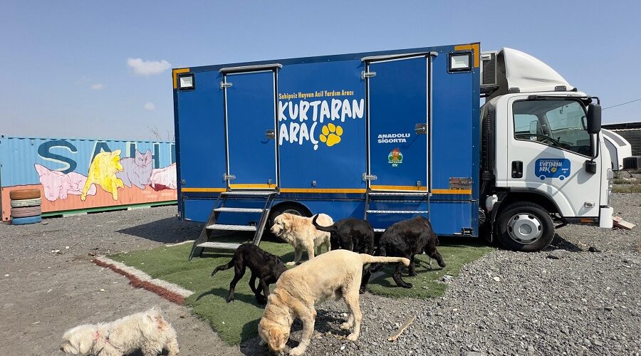 Anadolu Sigorta, Kurtaran Araç ile Sokak Hayvanlarının Rehabilitasyonuna Destek Oluyor