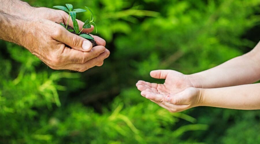 2025 Şubat Ayında TARSİM’de Tercih Bankalar