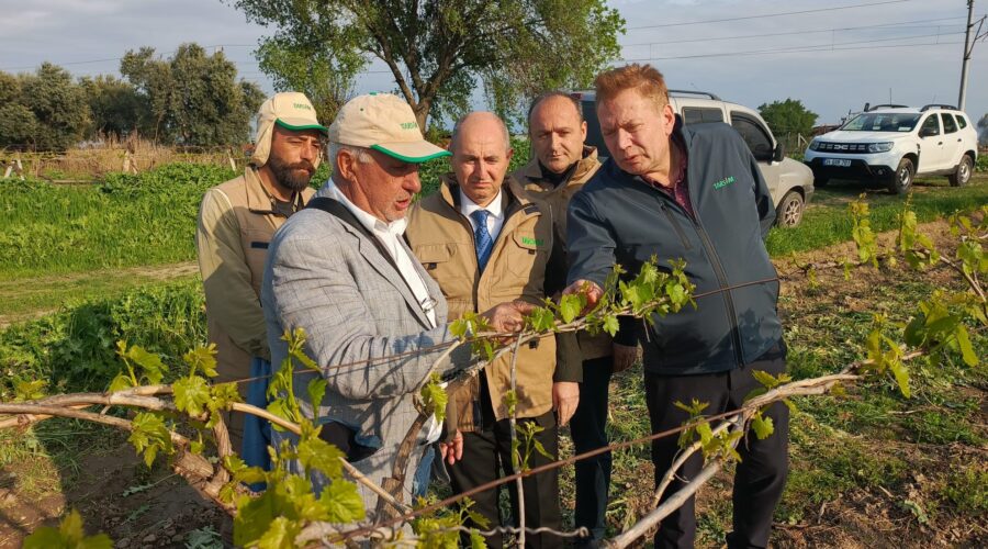 TARSİM’den Manisa’lı Üreticilere Geçmiş Olsun Ziyareti