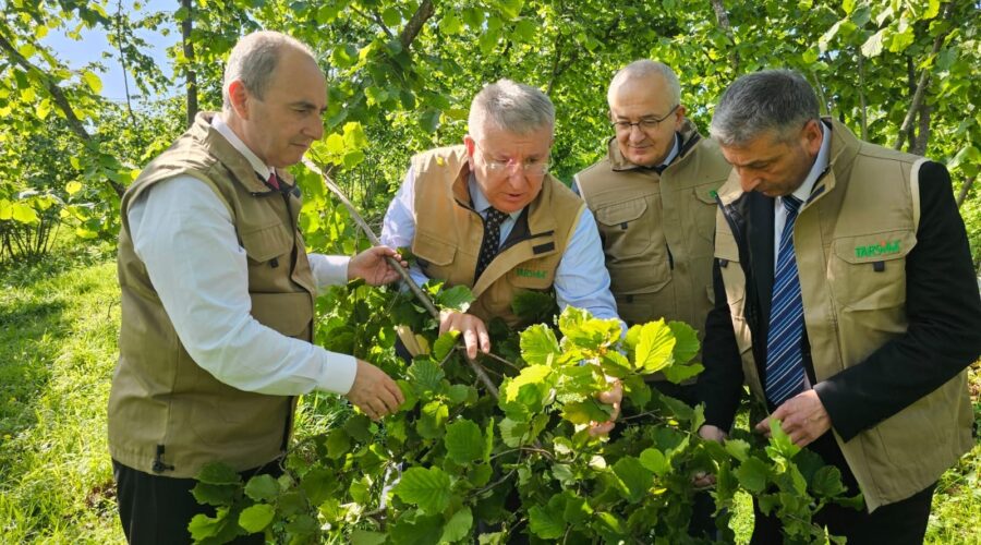 TARSİM Heyeti’nden Giresun ve Ordu’ya Ziyaret
